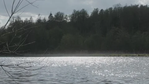 Slow Motion River Sunlight – Forest Backdrop and Soft Sparkle Stock Footage 308399486