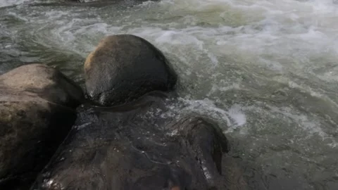 Slow motion of river water flowing around the rocky riverbank Video stock 306673535