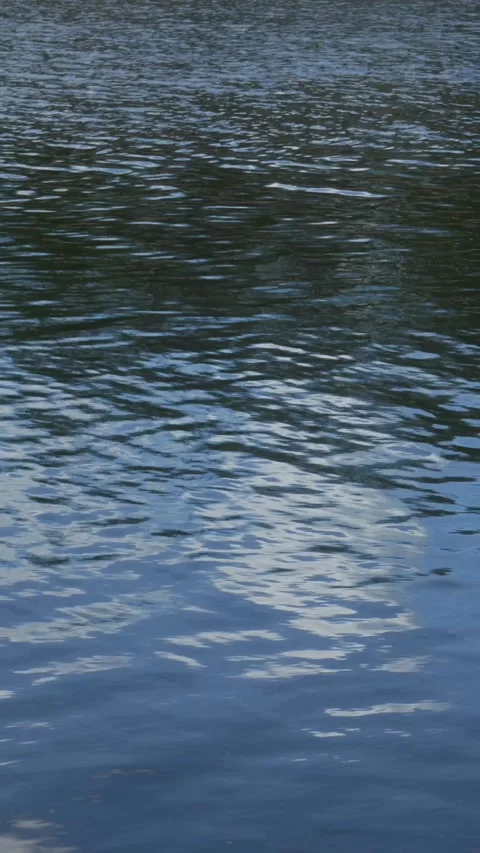 Slow Motion River Water with Reflections Stock Footage 308389575