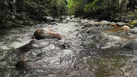 Slow motion river water rolling over boulders in lush jungle, static drone Stock Footage 110309593