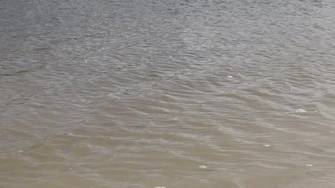 Slow Motion of a River Water Surface Texture, Gramame River, Paraíba Stock Footage 320572120