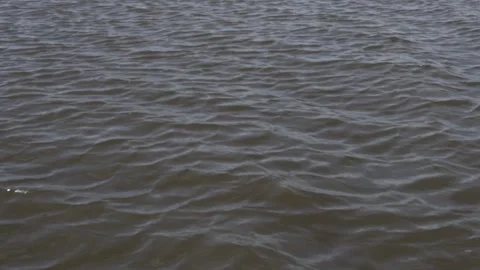 Slow Motion of a River Water Surface Texture, Gramame River, Paraíba Stock Footage 320572146