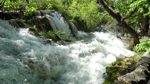 Slow Motion of River with Waterfalls at Plitvice Lakes National Park Stock Footage 113355346