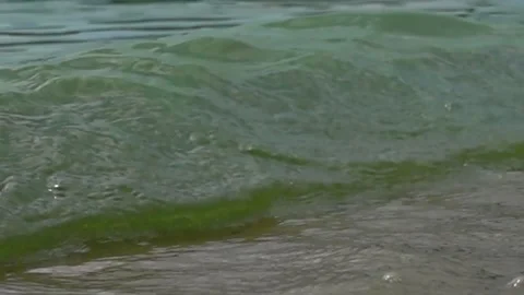 Slow motion river waves with duckweed and splashing water from stone in win.. Stock Footage 328575883