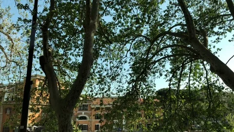 Slow motion road view. Stock Footage 90299359