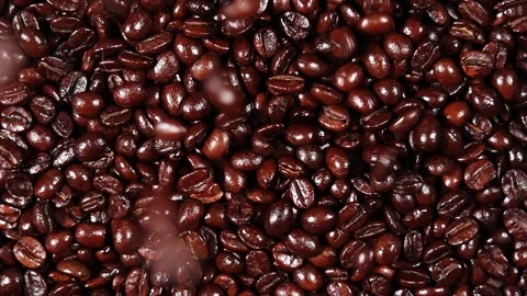 Slow motion of roasted coffee beans falling from top Stock Footage 252655375