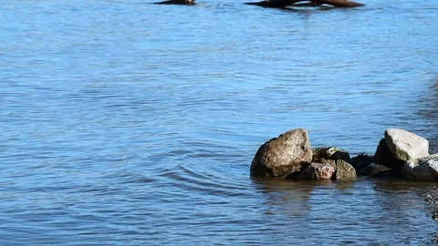 Slow motion rock 2 Video stock 119597690