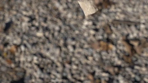 Slow Motion Rocks Pebbles Against Gravel Background Stock Footage 89209642