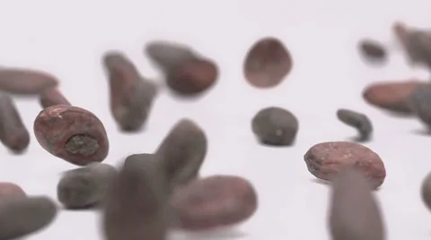 Slow motion rolling cacao beans Stock Footage 33801086
