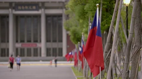 Slow motion of row of Taiwan flags outside a government building Stock Footage 314233658