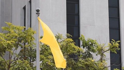 Slow motion of Royal Flag of King Rama X (King Maha Vajiralongkorn) waving Video stock 107614087