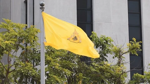 Slow motion of Royal Flag of King Rama X (King Maha Vajiralongkorn) waving Stock Footage 107614131