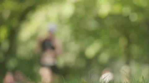 Slow Motion Runners in Marathon Race in Park Stock Footage 346567907