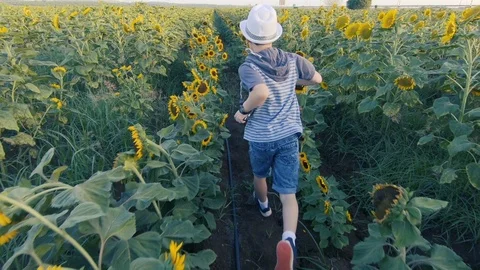 Slow motion Running in the field Stock Footage 104820931