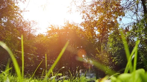 The Slow Motion of Running In the Nature Stock Footage 56428844