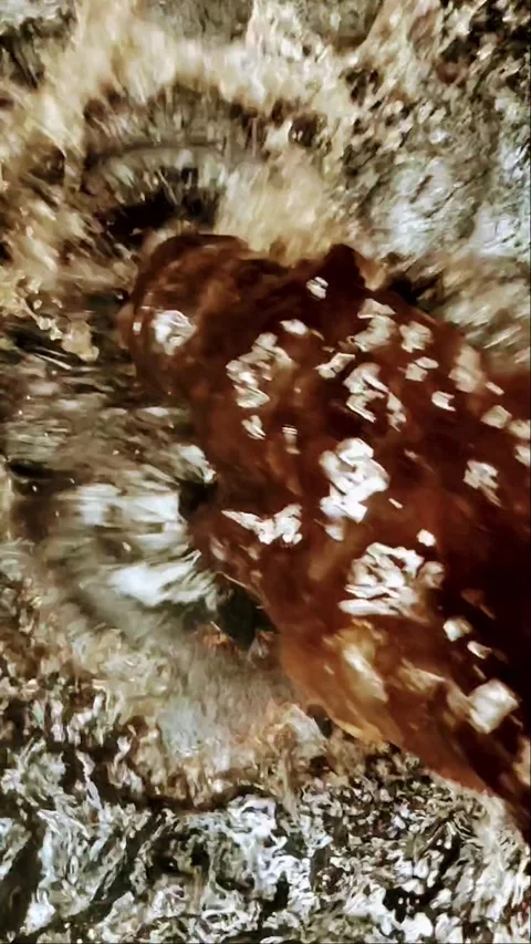 Slow Motion Running Polluted Water Stock Footage 242367837
