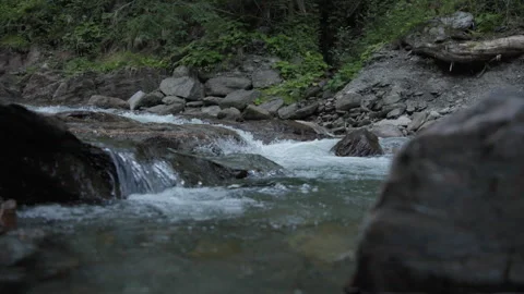Slow motion running river stream in a forest in the Swiss Alps, Medium Shot Stock Footage 307707861