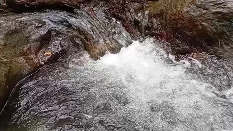 Slow Motion Rushing River Water Over Forest Rocks - Full HD Nature Video stock 329086267
