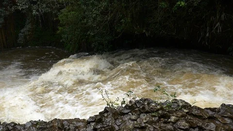 Slow motion rushing water during tropical rainstorm, Road to Hana, Maui, Hawaii. Stock Footage 107326217