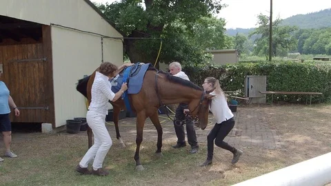 Slow motion saddle and preparing racehorses before the race Stock Footage 92658111