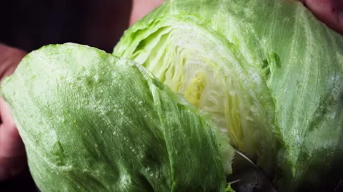 Slow Motion Salad Fall: Mesmerizing 1000fps Video Watch a captivating slow-motio 스톡 동영상 253300807