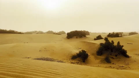 Slow motion. Sand on the beach blown by the wind, sandstorm concept Stock Footage 171414308