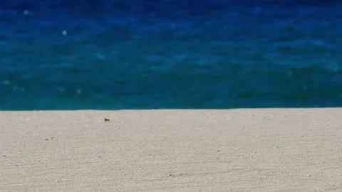 Slow Motion Sand Blowing in the Wind – Sal, Cape Verde Stock Footage 315559971