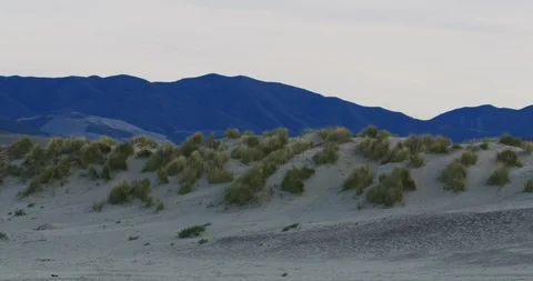 Slow motion of sand dune in Morro Bay, Claifornia Stock Footage 99144247