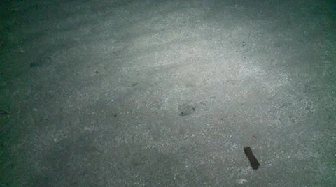 Slow motion sand eels 1 Video stock 12446416