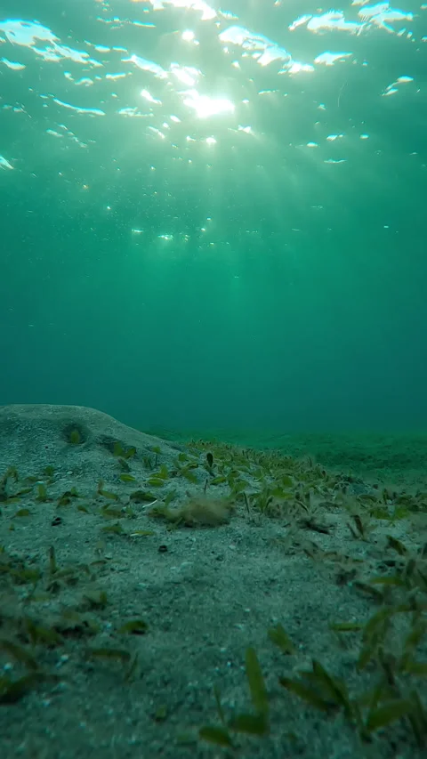 Slow motion, Sandy seabed in bright sunbeams at sunrise Stock Footage 327869058