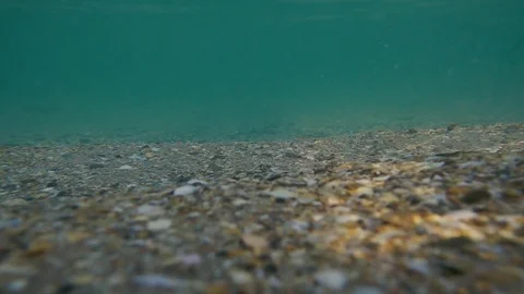 Slow motion sandy shell bottom with muddy water Stock Footage 80249141