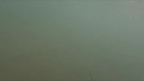 Slow motion scene of camera entering sea showing air bubbles and soft waves.. Stock Footage 317188798