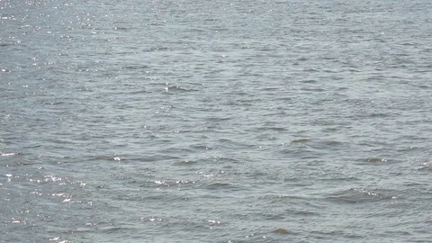 The Slow motion scene of the waves in the river with the glittering sunshine Stock Footage 104582451