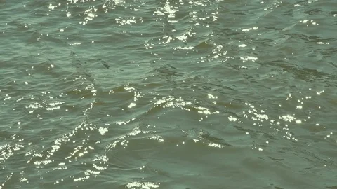 The Slow motion scene of the waves in the river with the glittering sunshine Stock Footage 104582520