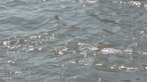The Slow motion scene of the waves in the river with the glittering sunshine Stock Footage 104582538