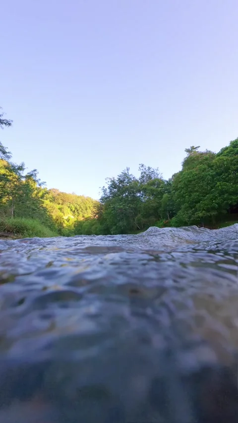 Slow Motion Scenic View of River Surrounded by Lush Green Stock Footage 308431921