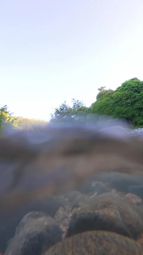 Slow Motion Scenic View of River Surrounded by Lush Green Stock Footage 308432422