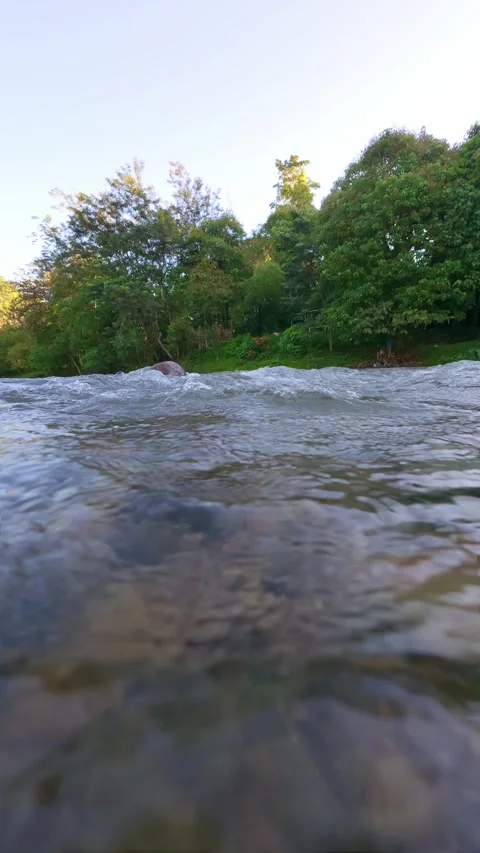 Slow Motion Scenic View of River Surrounded by Lush Green Stock Footage 308432732