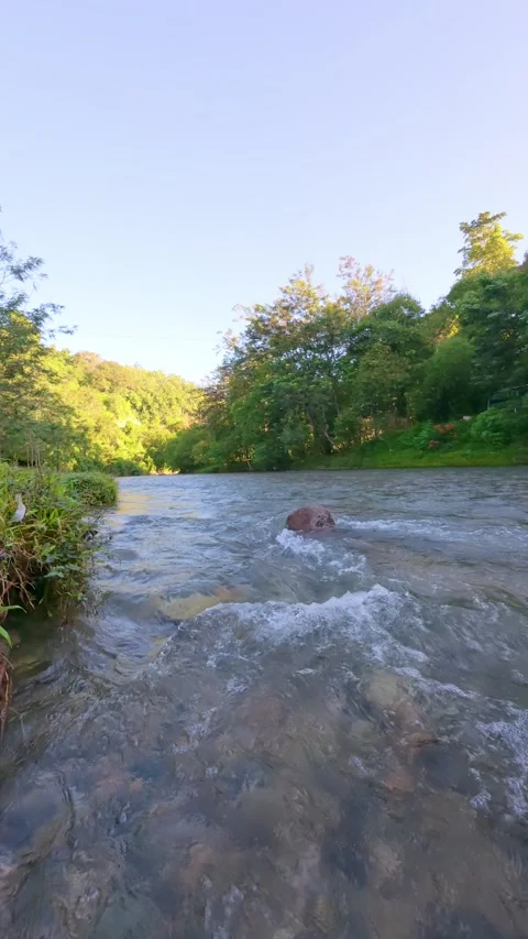 Slow Motion Scenic View of River Surrounded by Lush Green Stock Footage 308432920