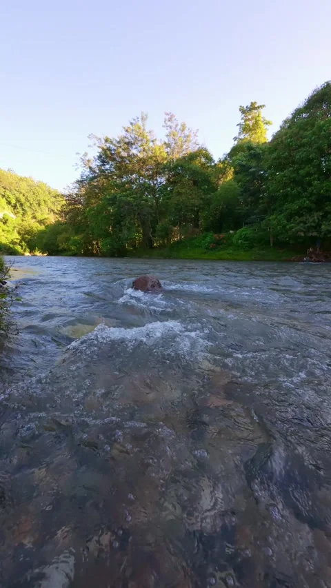 Slow Motion Scenic View of River Surrounded by Lush Green Stock Footage 308432957