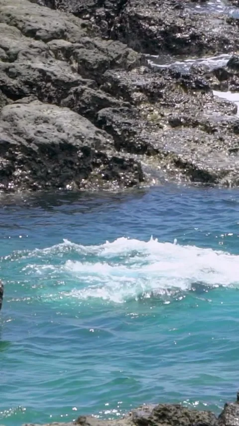 Slow Motion of scuba diver jumping in the water from rock of tropical coast. Stock Footage 314398339