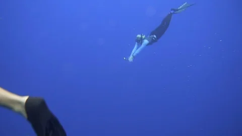 Slow Motion of Scuba Divers Swimming With Gray Sharks, Kauai, Hawaii Stock Footage 111908447
