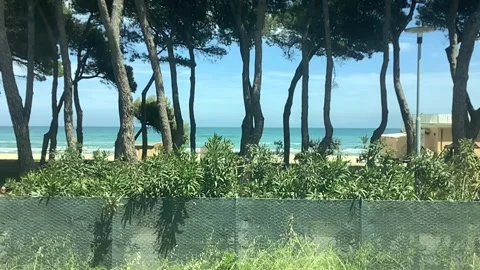 Slow motion of the sea behind the pine forest Stock Footage 281013435