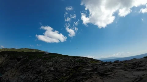 Slow Motion Sea Gull Flight Capel Rosso Lighthouse Giglio Island Italy Stock Footage 244596644