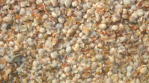 Slow motion  sea wave Stock Footage 97064670