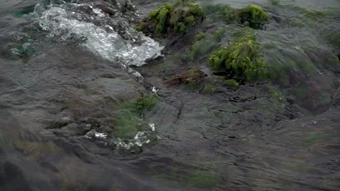 Slow motion sea wave washes the stones covered with green algae Stock Footage 112353264