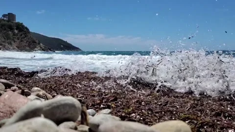 Slow Motion Sea Waves and Seaweed  Stock Footage 159023868