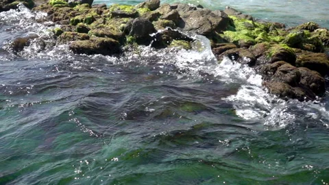 Slow motion of the sea waves rush into a stone reef covered with algae 動画素材 92382342