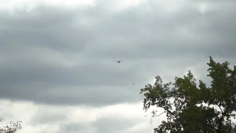 Slow Motion Seagull Flying By On A Cloudy Day Stock Footage 218408151