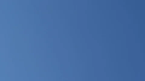 Slow motion of a seagull flying from left to right Stock Footage 91395532